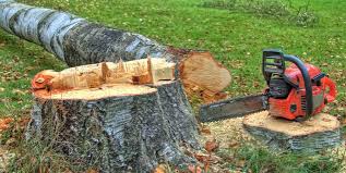 Best Stump Grinding and Removal  in Kosciusko, MS